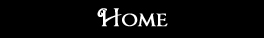 Link, Home02